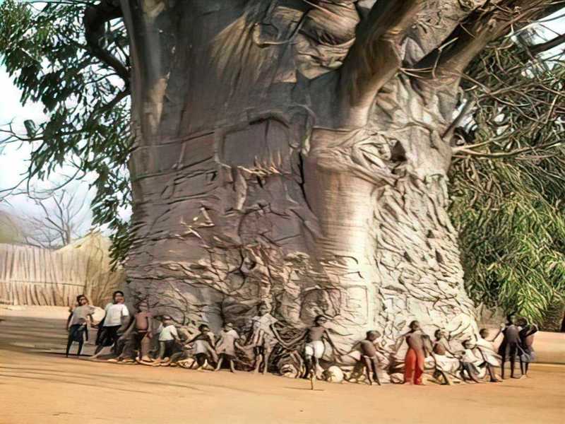 Illustration de l'actualité