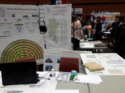 Illustration de la galerie